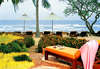 Hua Hin Marriott Resort & Spa 